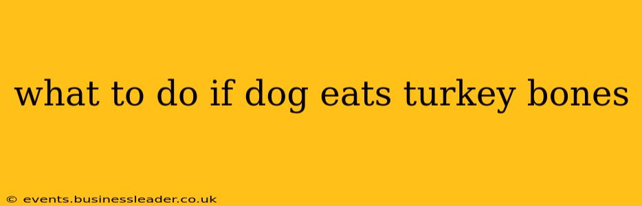 what to do if dog eats turkey bones