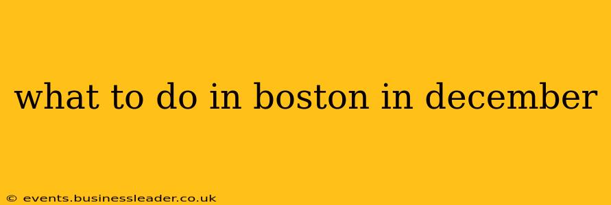 what to do in boston in december