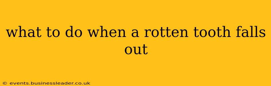 what to do when a rotten tooth falls out