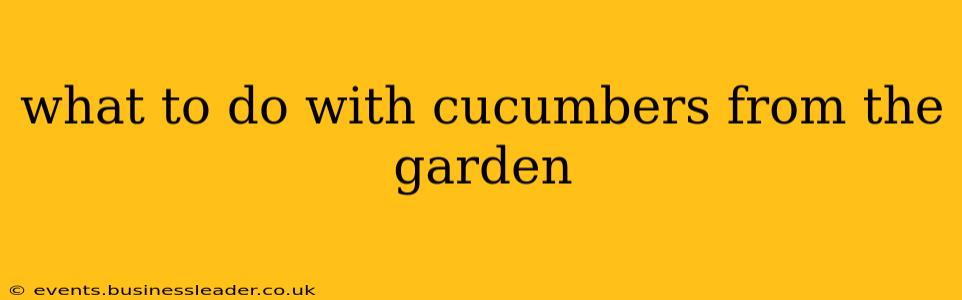 what to do with cucumbers from the garden