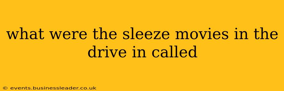 what were the sleeze movies in the drive in called