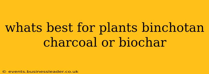 whats best for plants binchotan charcoal or biochar