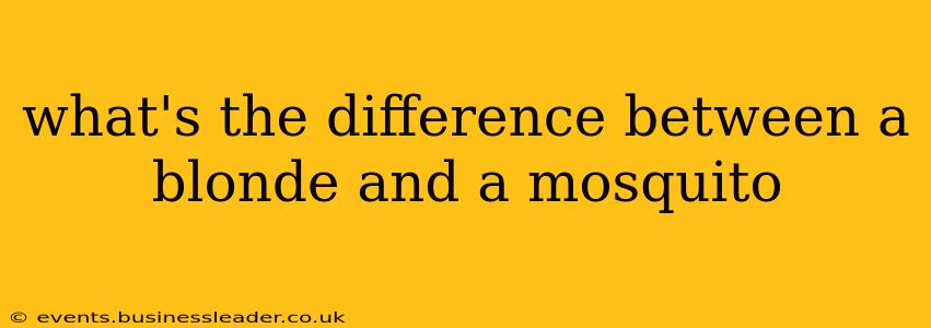 what's the difference between a blonde and a mosquito