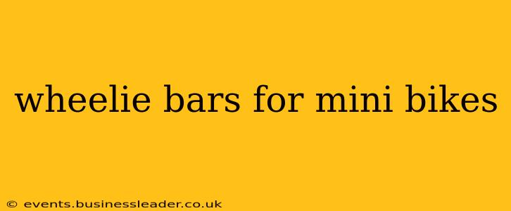 wheelie bars for mini bikes