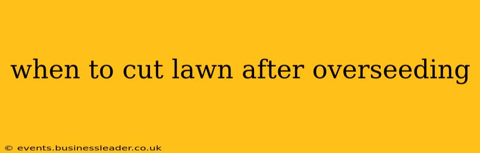 when to cut lawn after overseeding