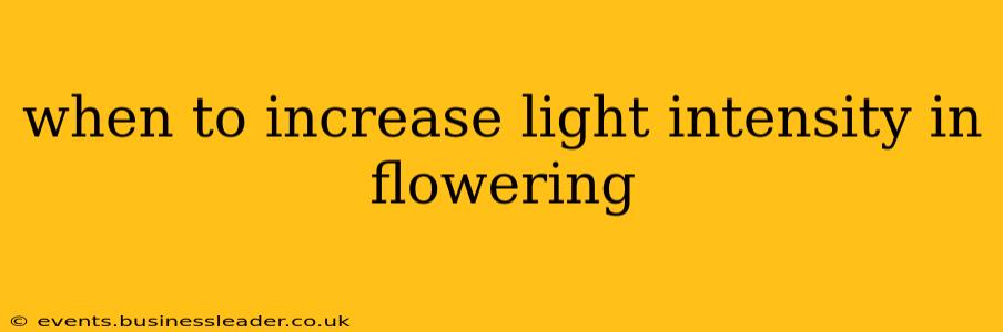 when to increase light intensity in flowering