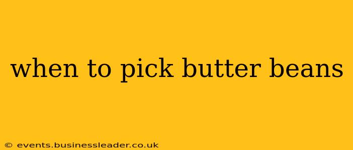 when to pick butter beans