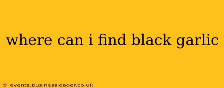 where can i find black garlic