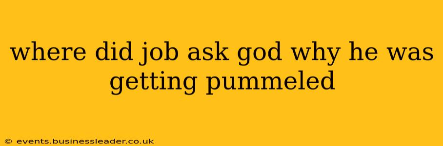 where did job ask god why he was getting pummeled