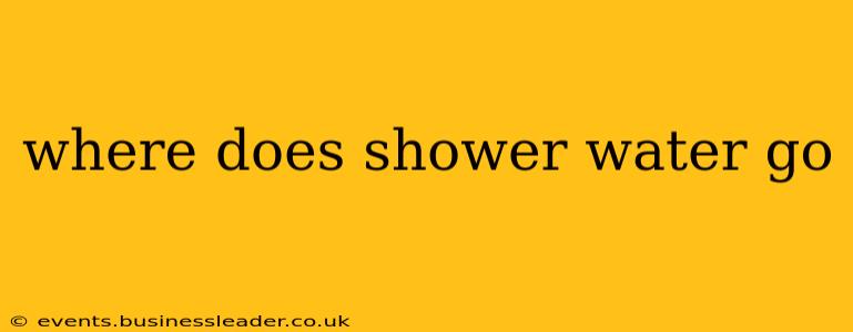 where does shower water go
