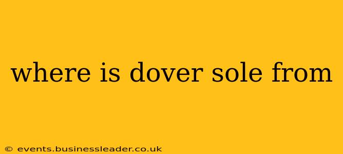 where is dover sole from
