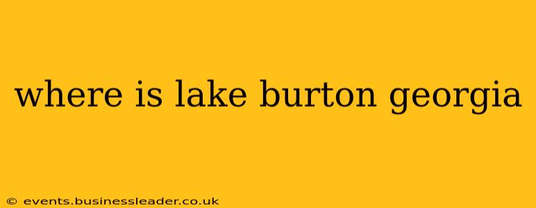 where is lake burton georgia