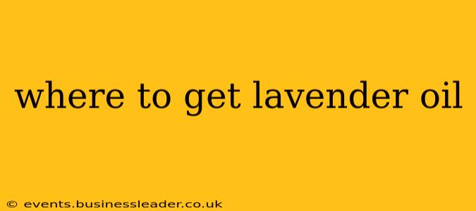 where to get lavender oil