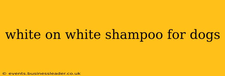 white on white shampoo for dogs