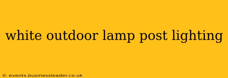 white outdoor lamp post lighting