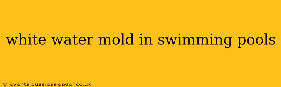 white water mold in swimming pools