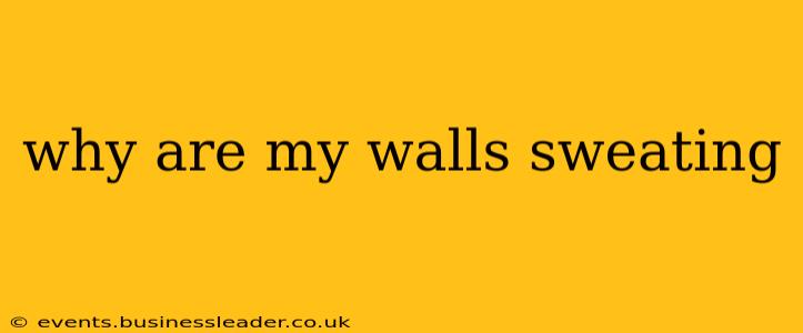 why are my walls sweating