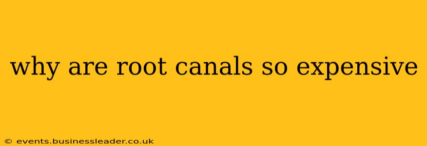why are root canals so expensive