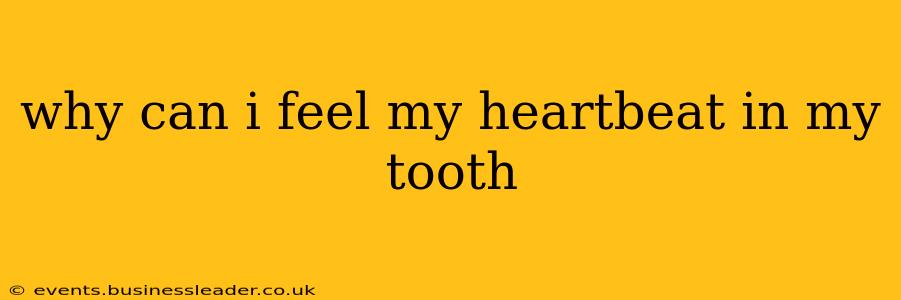 why can i feel my heartbeat in my tooth