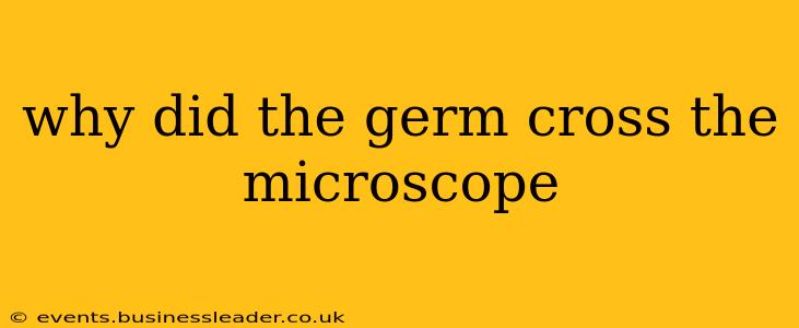 why did the germ cross the microscope