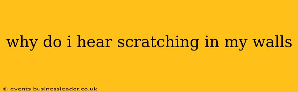 why do i hear scratching in my walls