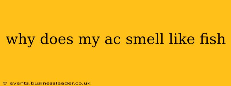 why does my ac smell like fish