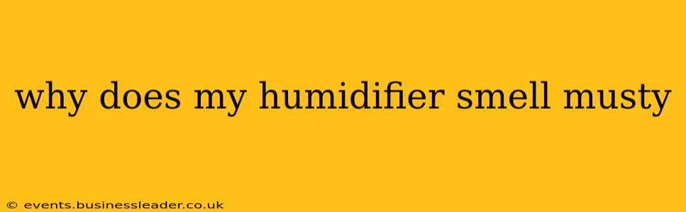 why does my humidifier smell musty