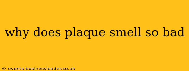 why does plaque smell so bad