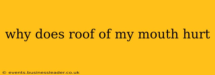 why does roof of my mouth hurt