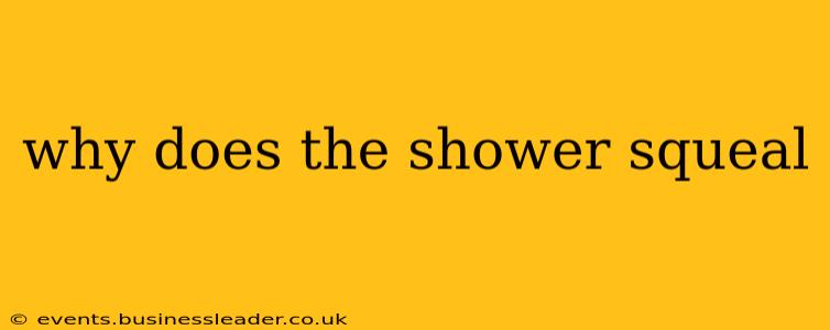 why does the shower squeal