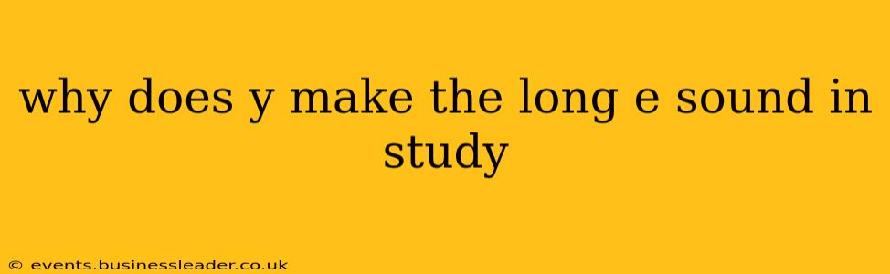 why does y make the long e sound in study