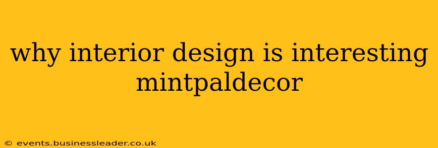 why interior design is interesting mintpaldecor