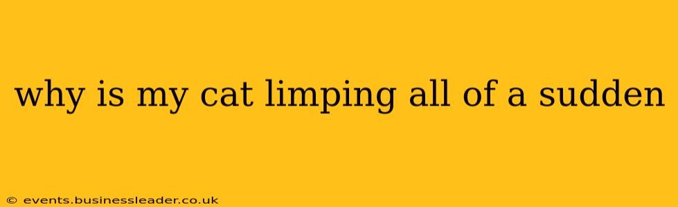 why is my cat limping all of a sudden