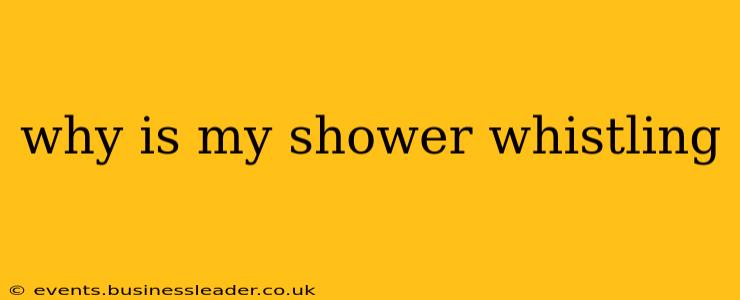 why is my shower whistling