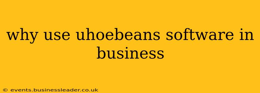 why use uhoebeans software in business