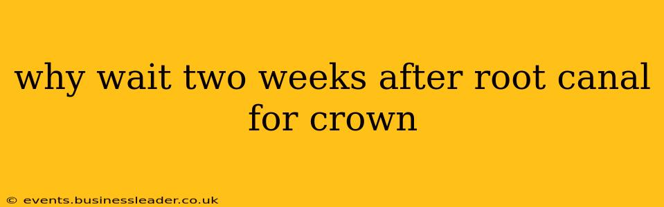 why wait two weeks after root canal for crown