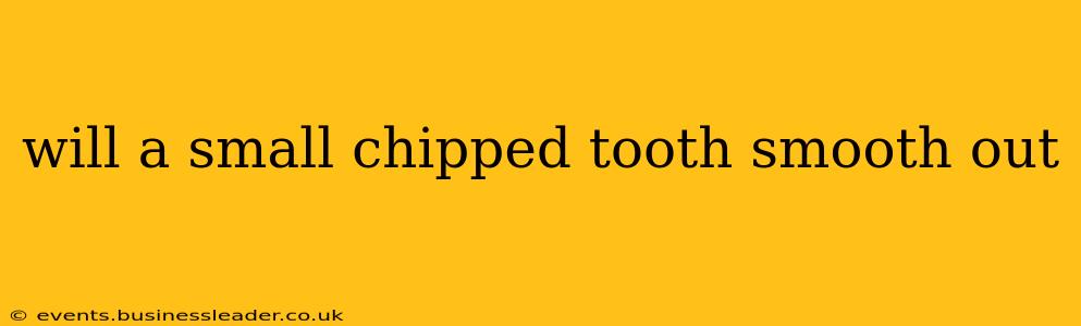 will a small chipped tooth smooth out