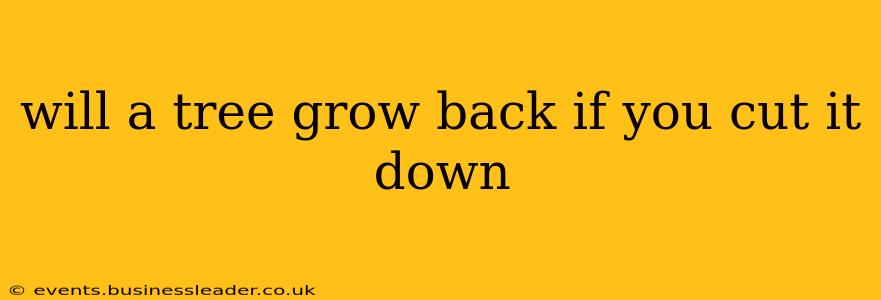 will a tree grow back if you cut it down