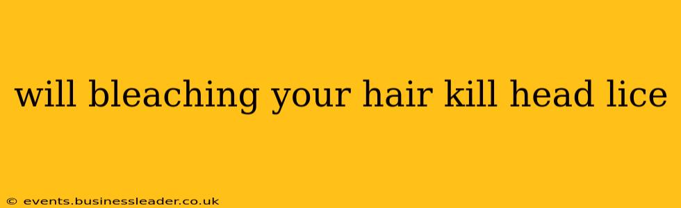 will bleaching your hair kill head lice