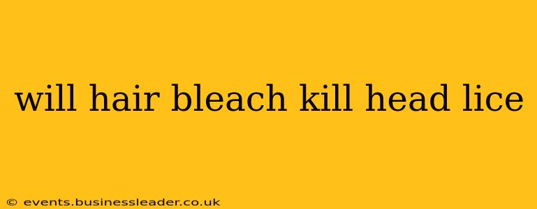 will hair bleach kill head lice