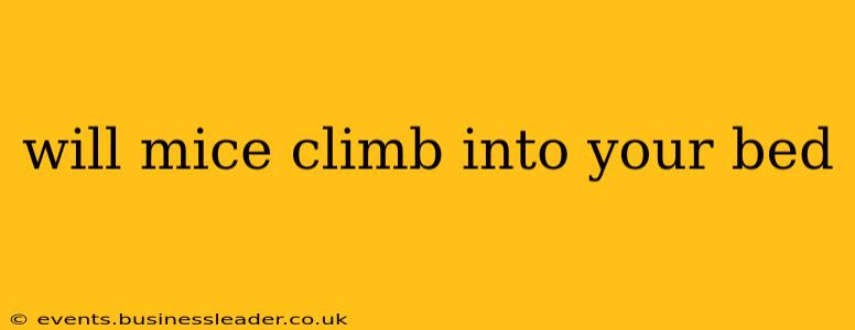 will mice climb into your bed
