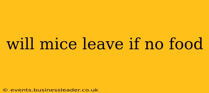 will mice leave if no food