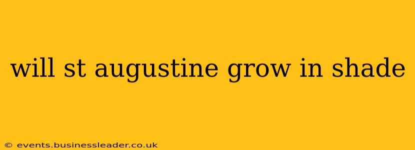 will st augustine grow in shade