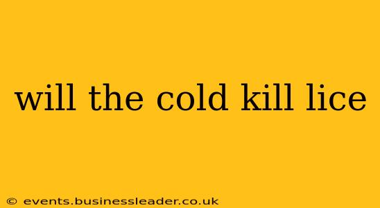 will the cold kill lice