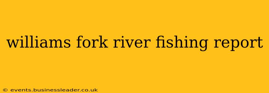 williams fork river fishing report