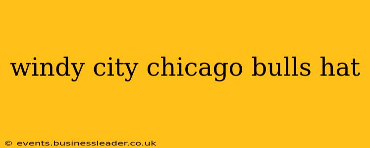 windy city chicago bulls hat