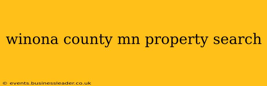 winona county mn property search