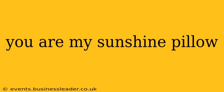 you are my sunshine pillow