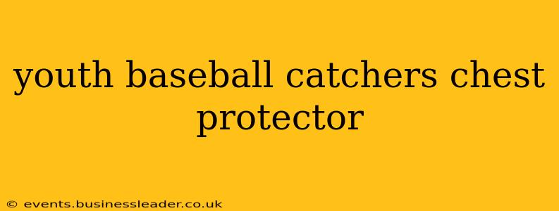 youth baseball catchers chest protector