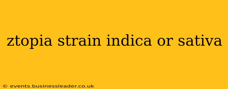 ztopia strain indica or sativa